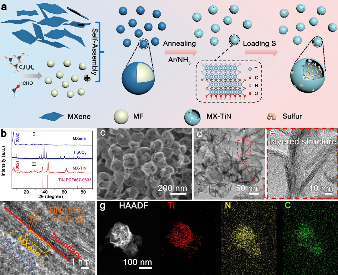 基于超薄MXene基异质结双向催化的大载量锂硫电池介绍 基于超薄MXene基异质结双向催化的大载量锂硫电池介绍