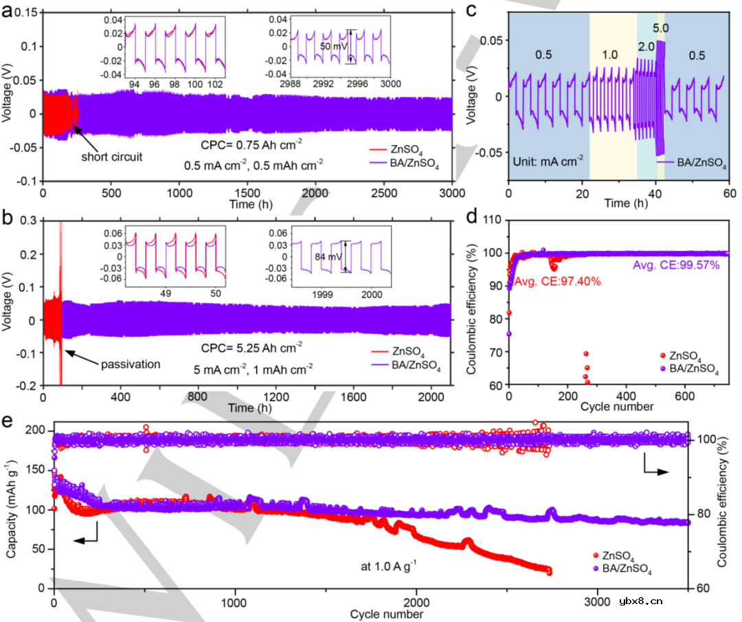 如何解决锌成核/溶解动力学与HER抑制能力之间的内在权衡