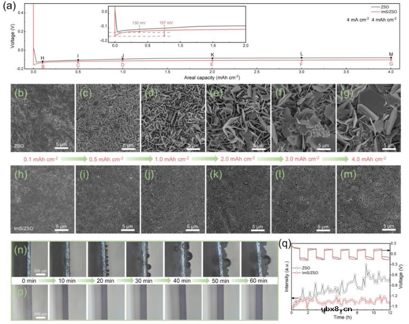 将两性离子型离子液体作为新的电解质添加剂 将两性离子型离子液体作为新的电解质添加剂