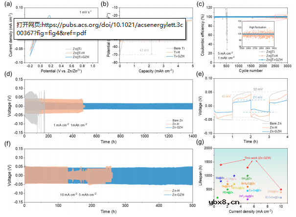 锌金属负极的介质—金属双梯度组合设计 锌金属负极的介质—金属双梯度组合设计