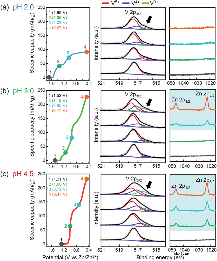金属离子与质子:跟踪插入到水系电池阴极氧化物的电荷载流子