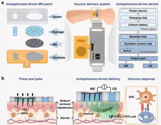 一种可穿戴式离子电渗驱动的微针贴片设计