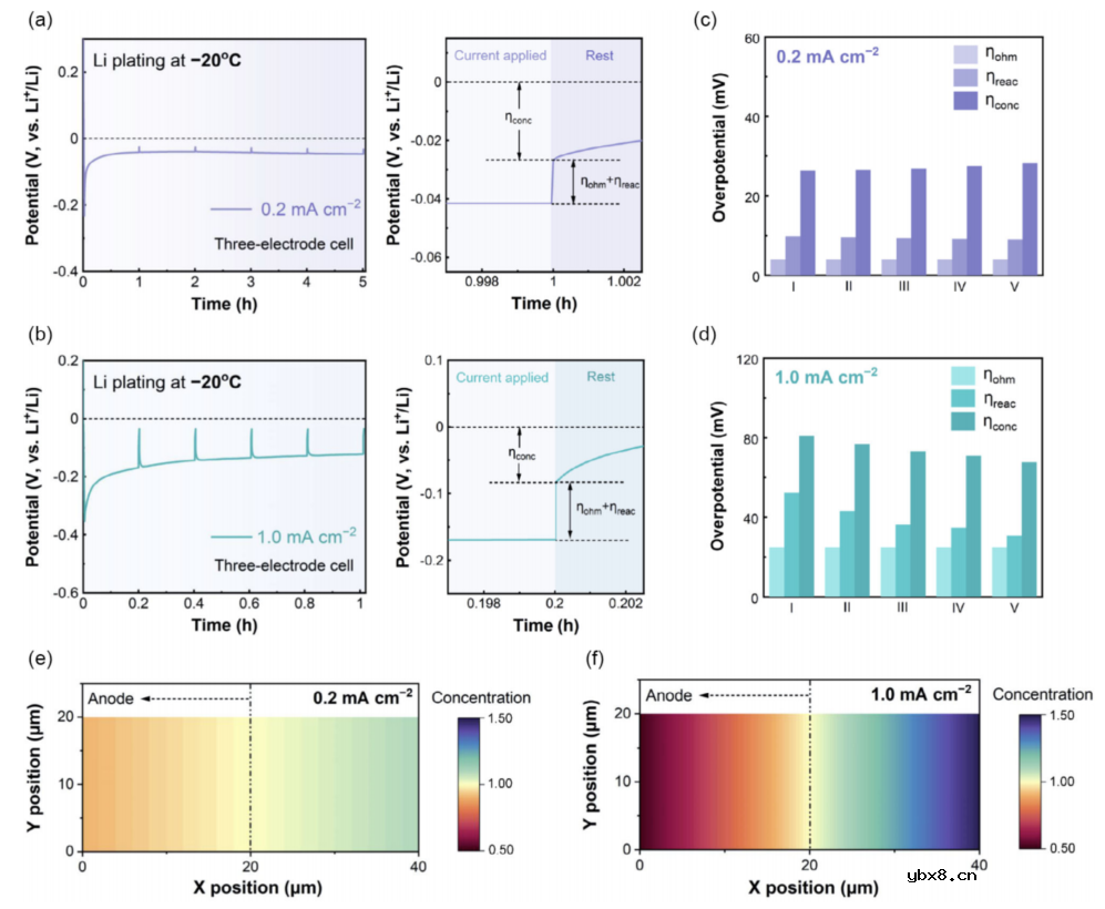 打开稳定低温锂金属负极的极化和可逆性限制