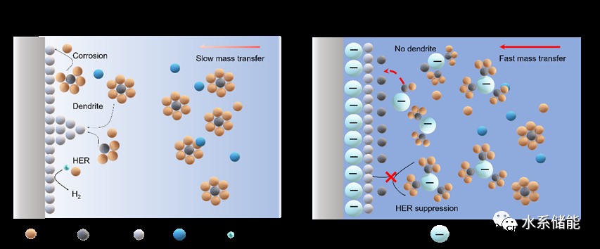 通过设计负电性量子点添加剂降低界面浓度梯度实现无枝晶锌负极