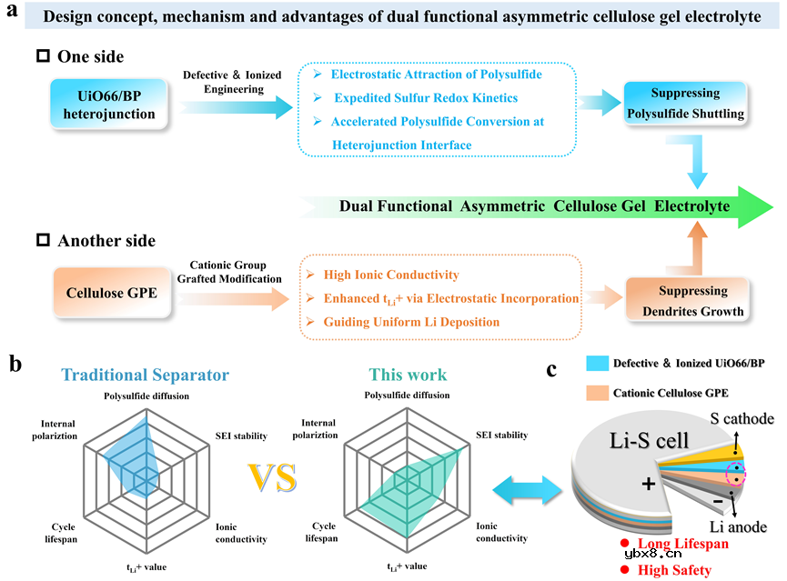 构建双功能非对称型纤维素凝胶电解质同时抑制穿梭效应和枝晶生长