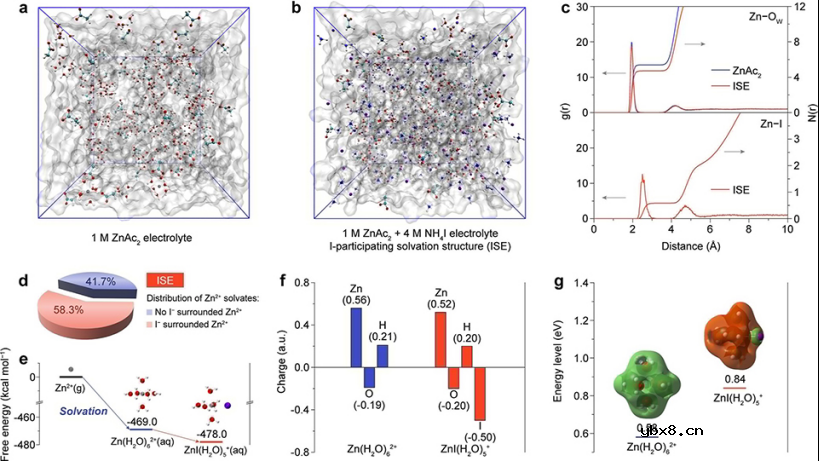 卤化Zn2+溶剂化结构实现高可逆锌金属电池