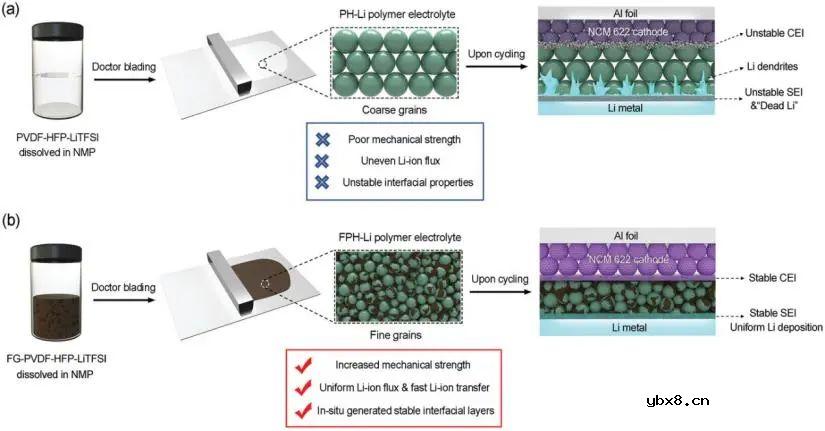 氟化石墨烯增强聚合物电解质用于固态锂金属电池