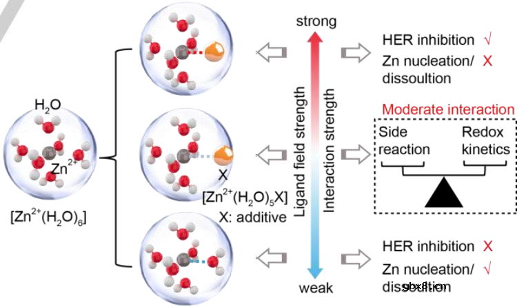 如何解决锌成核/溶解动力学与HER抑制能力之间的内在权衡