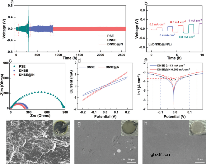 双聚合物复合无机物电解质用于富Li金属电池 双聚合物复合无机物电解质用于富Li金属电池
