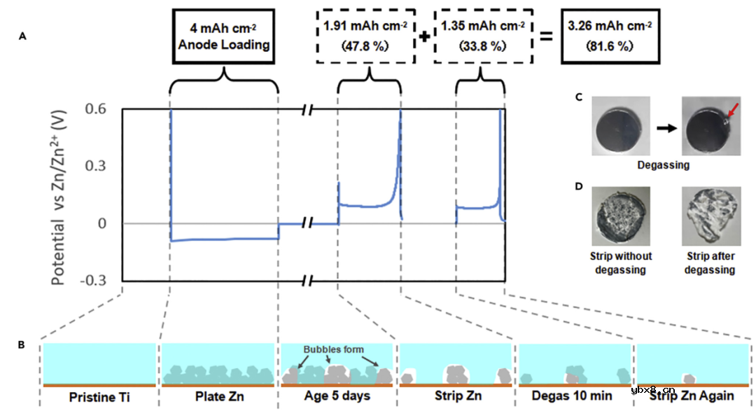 水系锌电中老化诱导锌负极损耗的解耦、量化及恢复 水系锌电中老化诱导锌负极损耗的解耦、量化及恢复