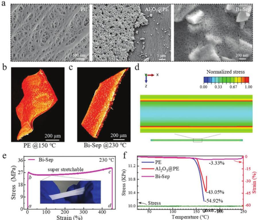 一种双连续隔膜(Bi-Sep)以提高电池安全性 一种双连续隔膜(Bi-Sep)以提高电池安全性