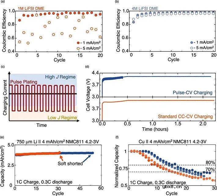 利用电分析和纳米尺度表征方法证明锂电镀形貌和电流密度高度相关