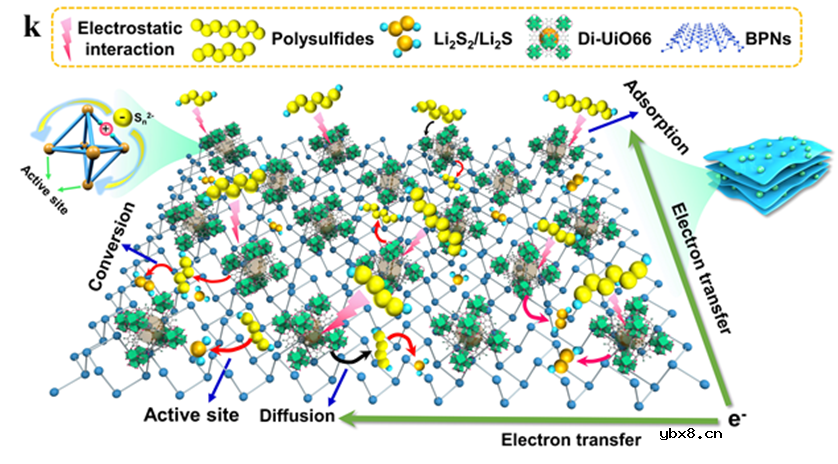 构建双功能非对称型纤维素凝胶电解质同时抑制穿梭效应和枝晶生长