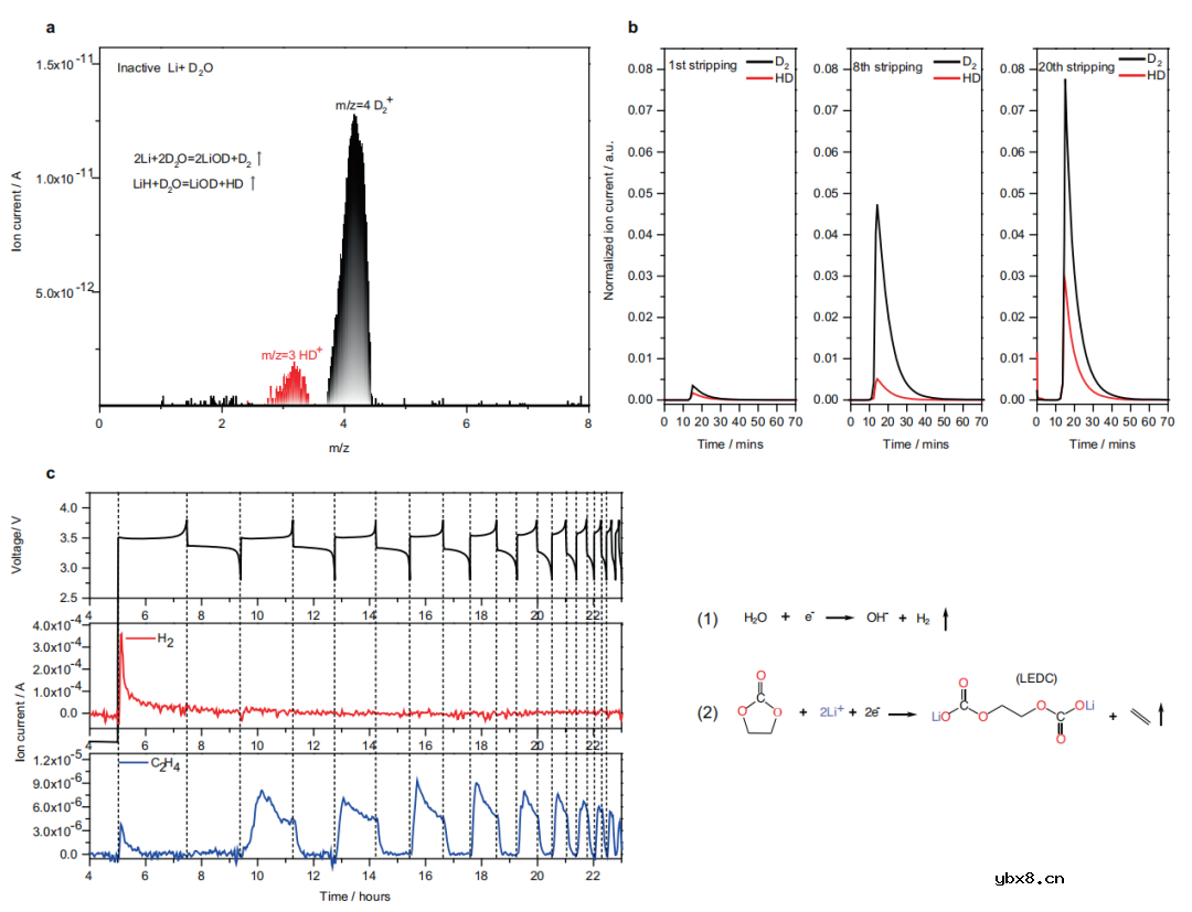 锂金属电池中非活性锂的气体诱导形成