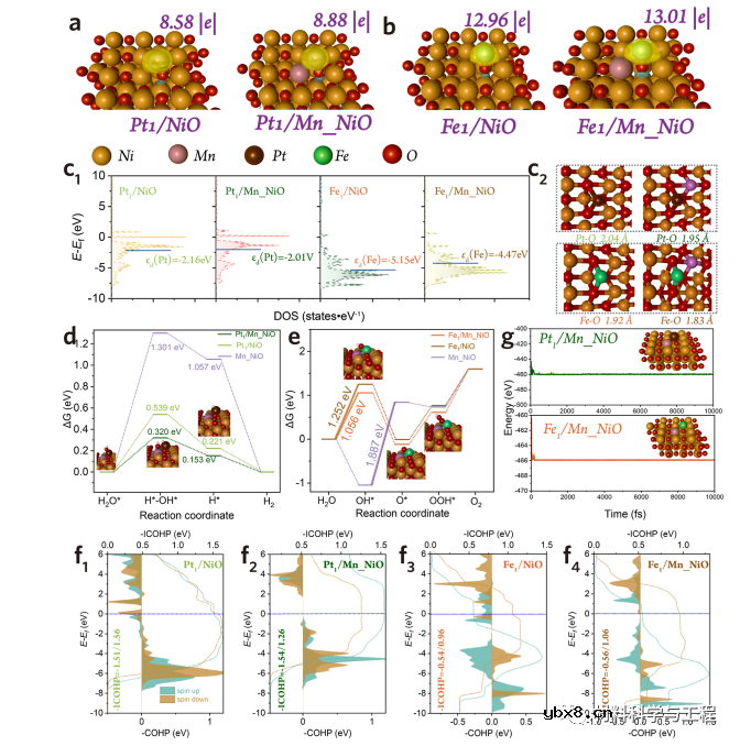 加点Mn，助力高效电催化碱性海水分裂！