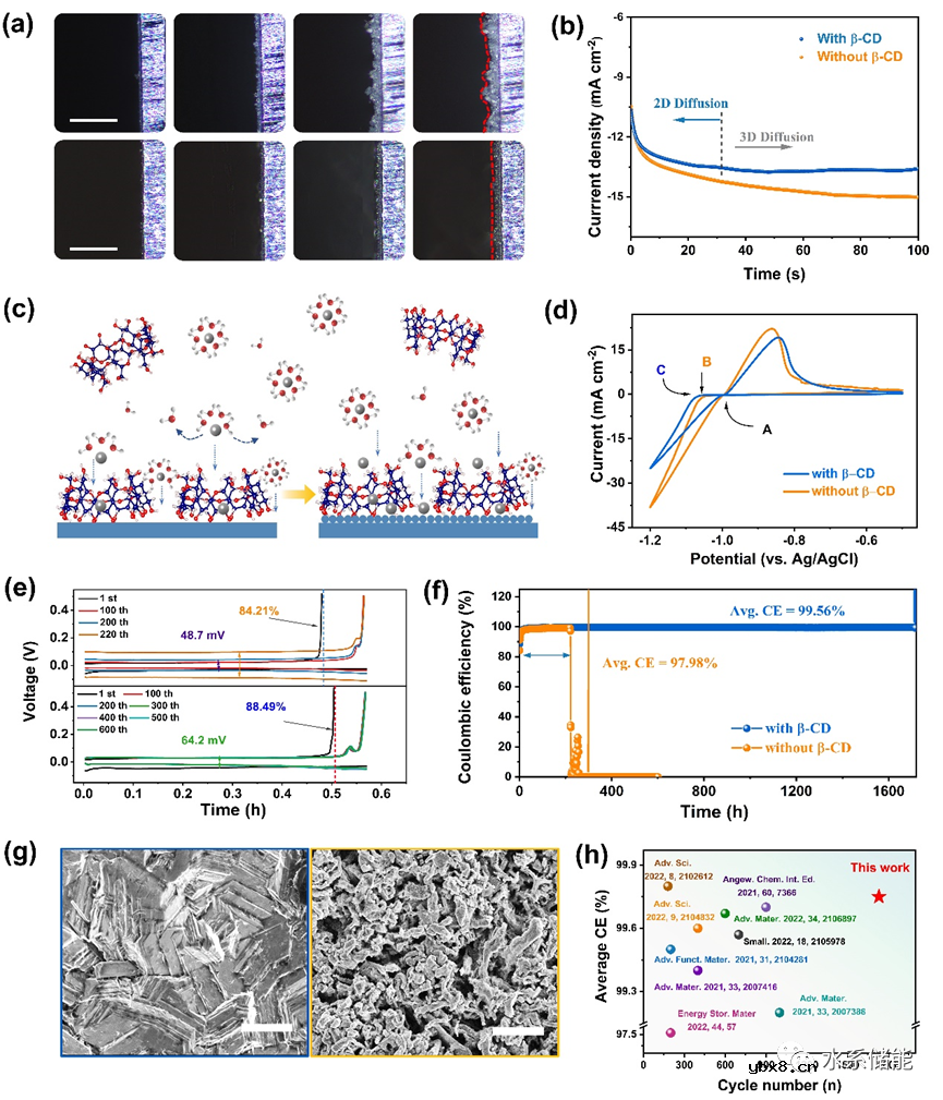 使用β-CD调节锌离子的沉积行为