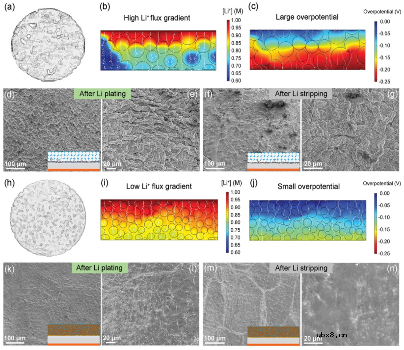 氟化石墨烯增强聚合物电解质用于固态锂金属电池