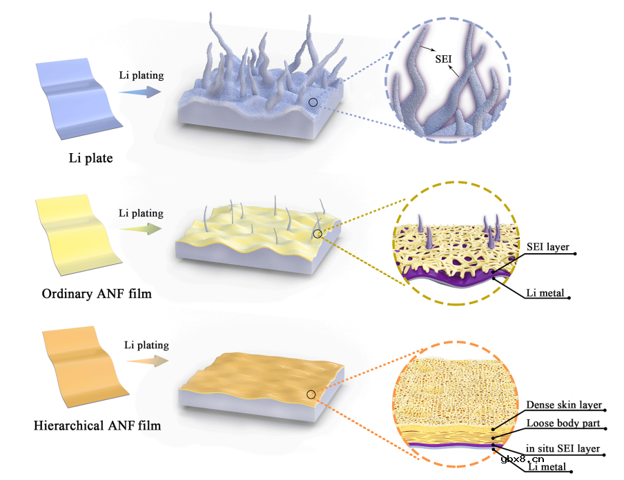 层次化高模量芳纶纳米纤维膜保护层实现高性能锂金属负极