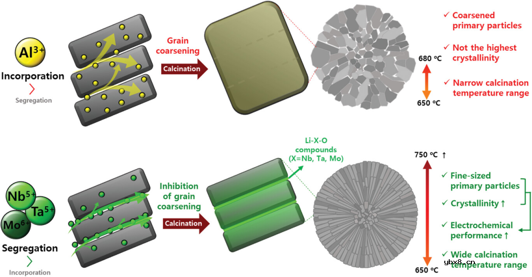 高价元素掺杂稳定富镍正极材料新机理！