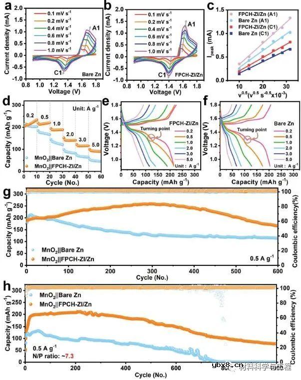 多功能界面锌主体的协同设计助力实用锌金属电池