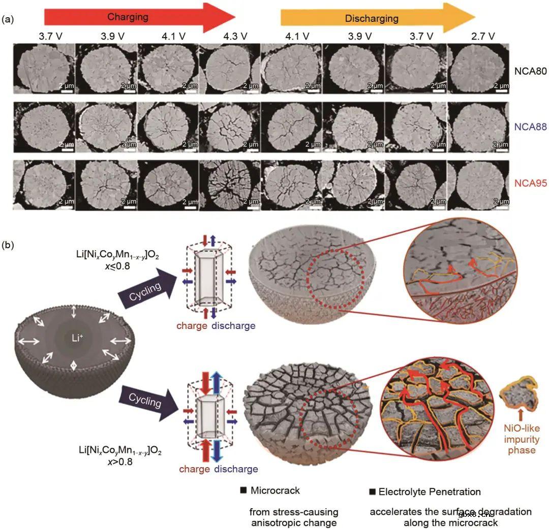 基于高镍三元层状材料的研究现状对其结构特点讨论