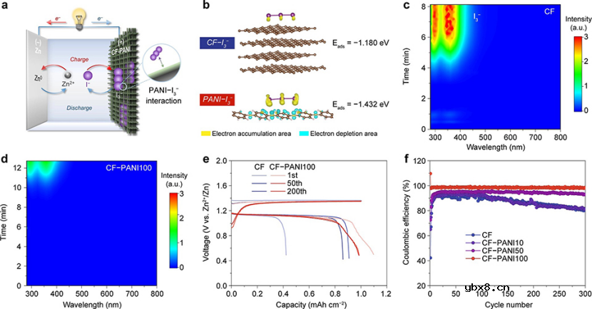 卤化Zn2+溶剂化结构实现高可逆锌金属电池
