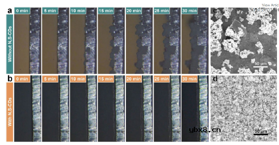 低N/P比的锌离子电池，10000次循环长寿命