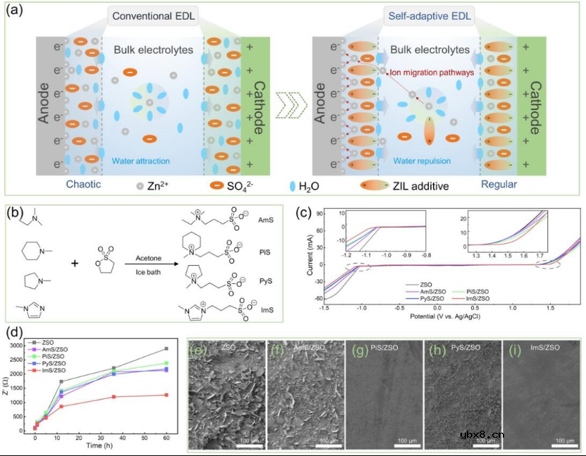 将两性离子型离子液体作为新的电解质添加剂