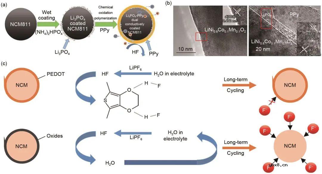 基于高镍三元层状材料的研究现状对其结构特点讨论