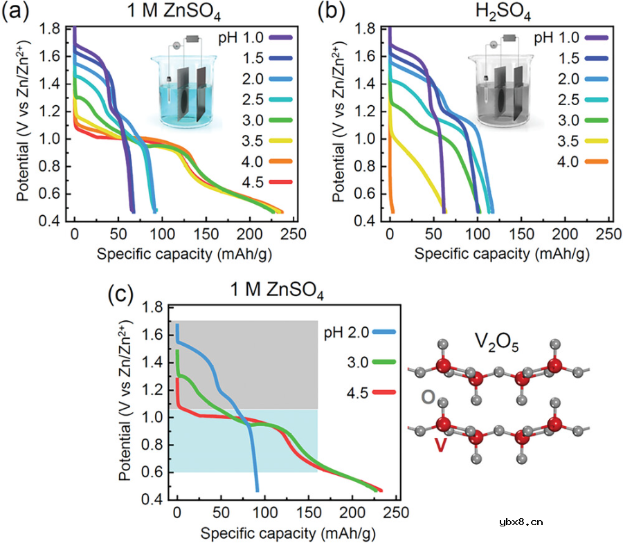 金属离子与质子:跟踪插入到水系电池阴极氧化物的电荷载流子