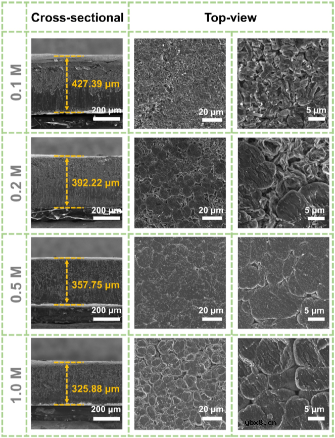 低浓度电解液对锂金属负极的影响及其相关机理 低浓度电解液对锂金属负极的影响及其相关机理