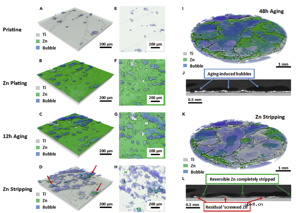 水系锌电中老化诱导锌负极损耗的解耦、量化及恢复 水系锌电中老化诱导锌负极损耗的解耦、量化及恢复