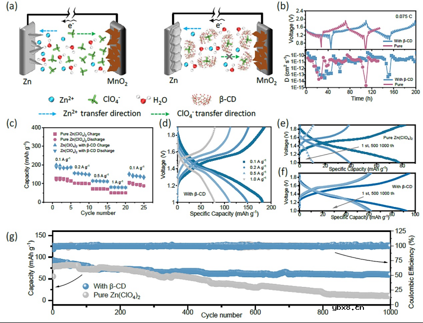 阴离子实现无枝晶长循环锌离子电池的设计 阴离子实现无枝晶长循环锌离子电池的设计