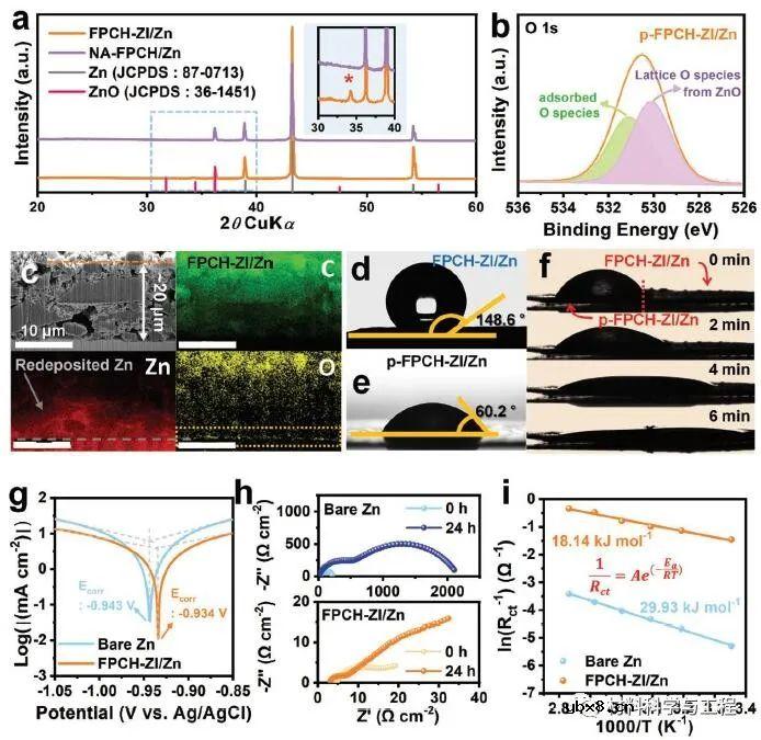 多功能界面锌主体的协同设计助力实用锌金属电池