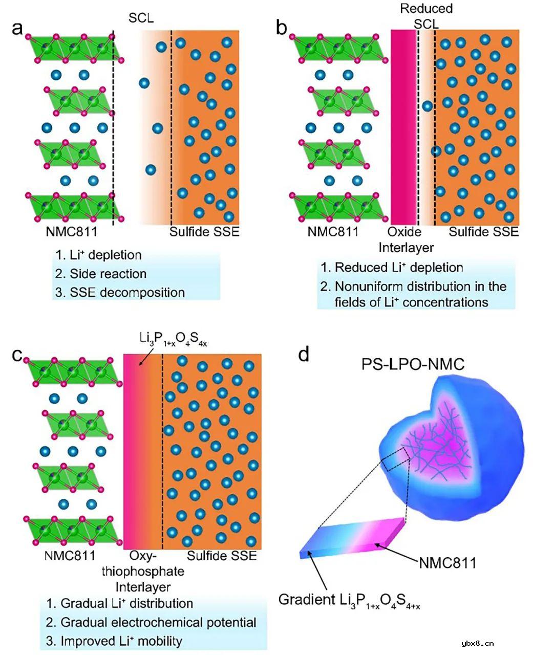 梯度包覆策略助力高性能全固态锂电池