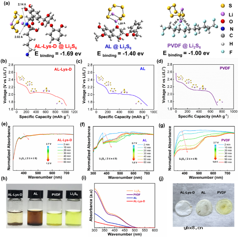 浅析面向实际应用的超低掺量木质素锂硫电池粘结剂