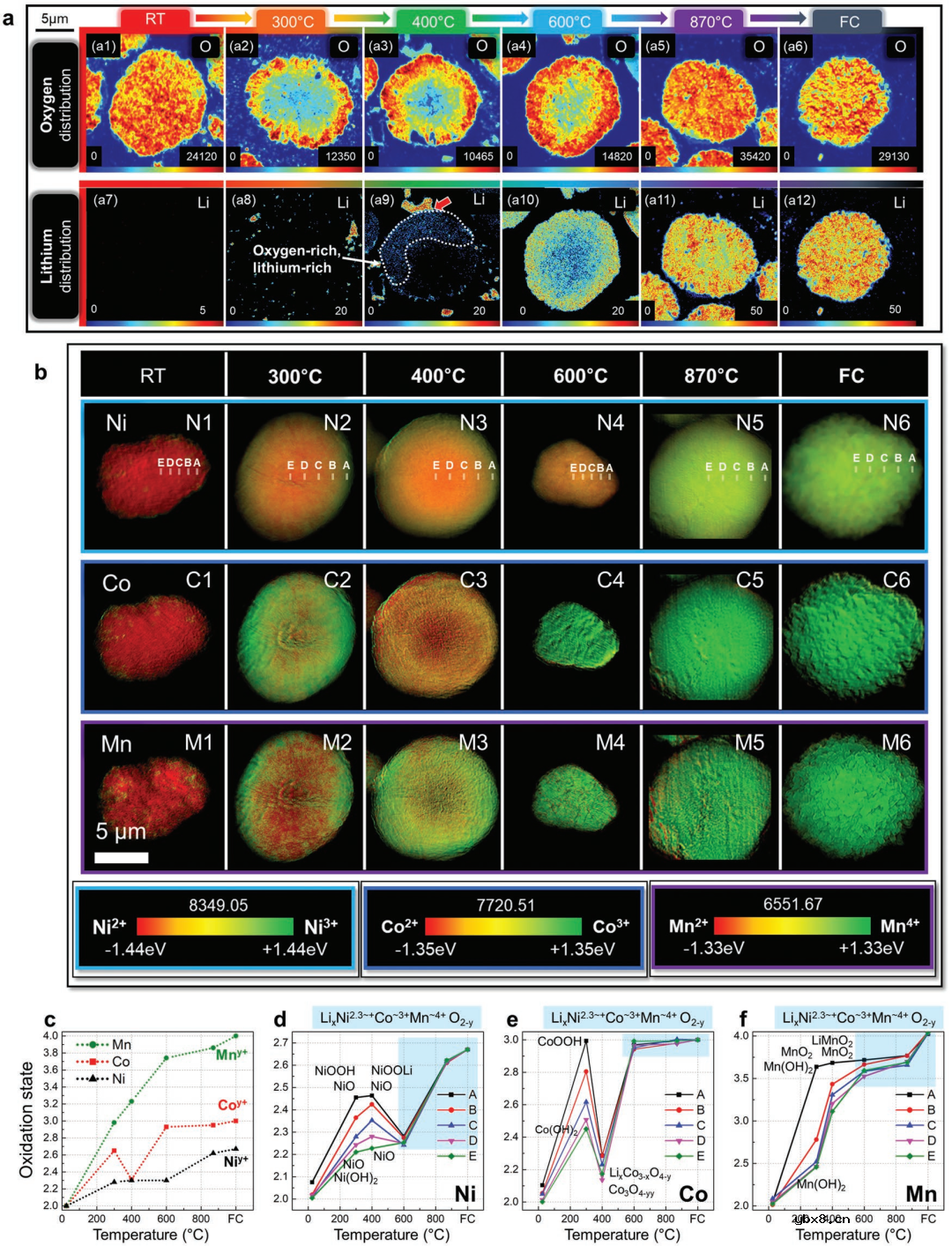 锂电正极煅烧过程中的固态反应异质性