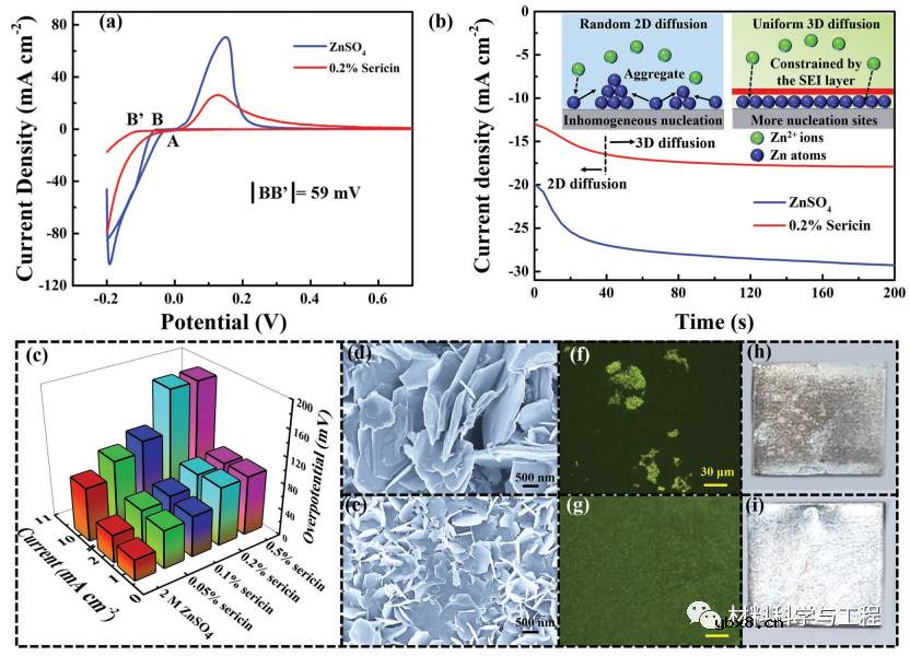同时控制锌形核热力学与析氢过电位实现稳定界面 同时控制锌形核热力学与析氢过电位实现稳定界面