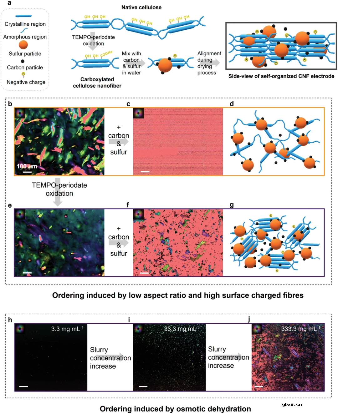 一种优化软包Li-S电池循环稳定性的新型正极结构