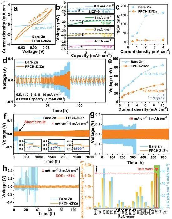 多功能界面锌主体的协同设计助力实用锌金属电池