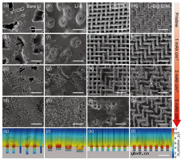 亲锂-疏锂双骨架助力锂金属电池 亲锂-疏锂双骨架助力锂金属电池