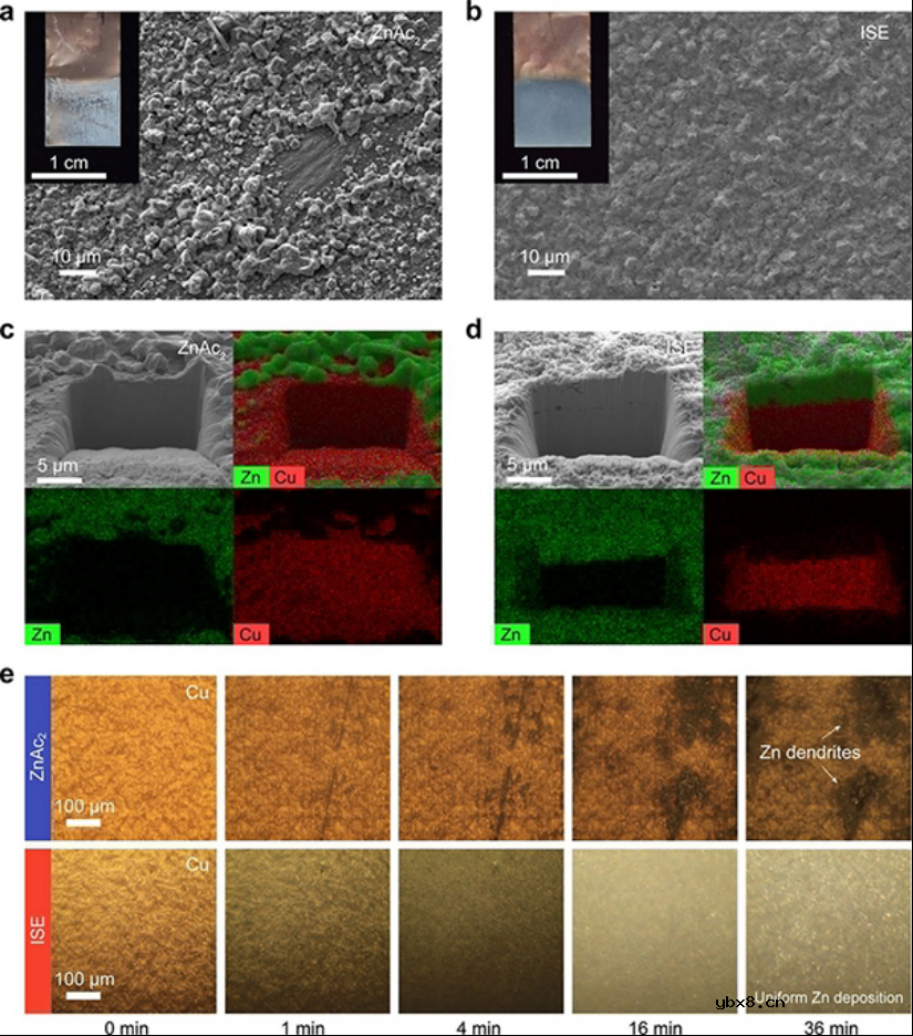 卤化Zn2+溶剂化结构实现高可逆锌金属电池