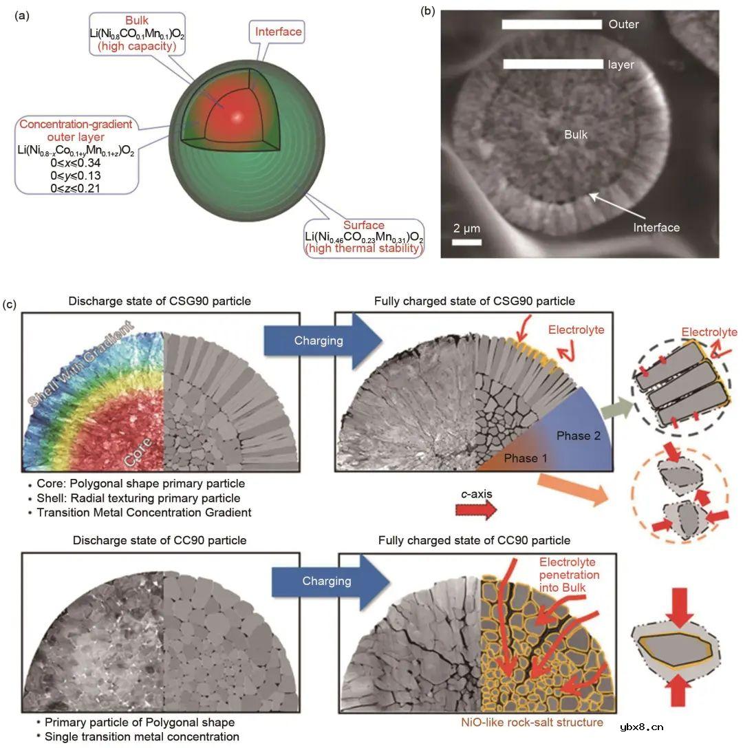基于高镍三元层状材料的研究现状对其结构特点讨论