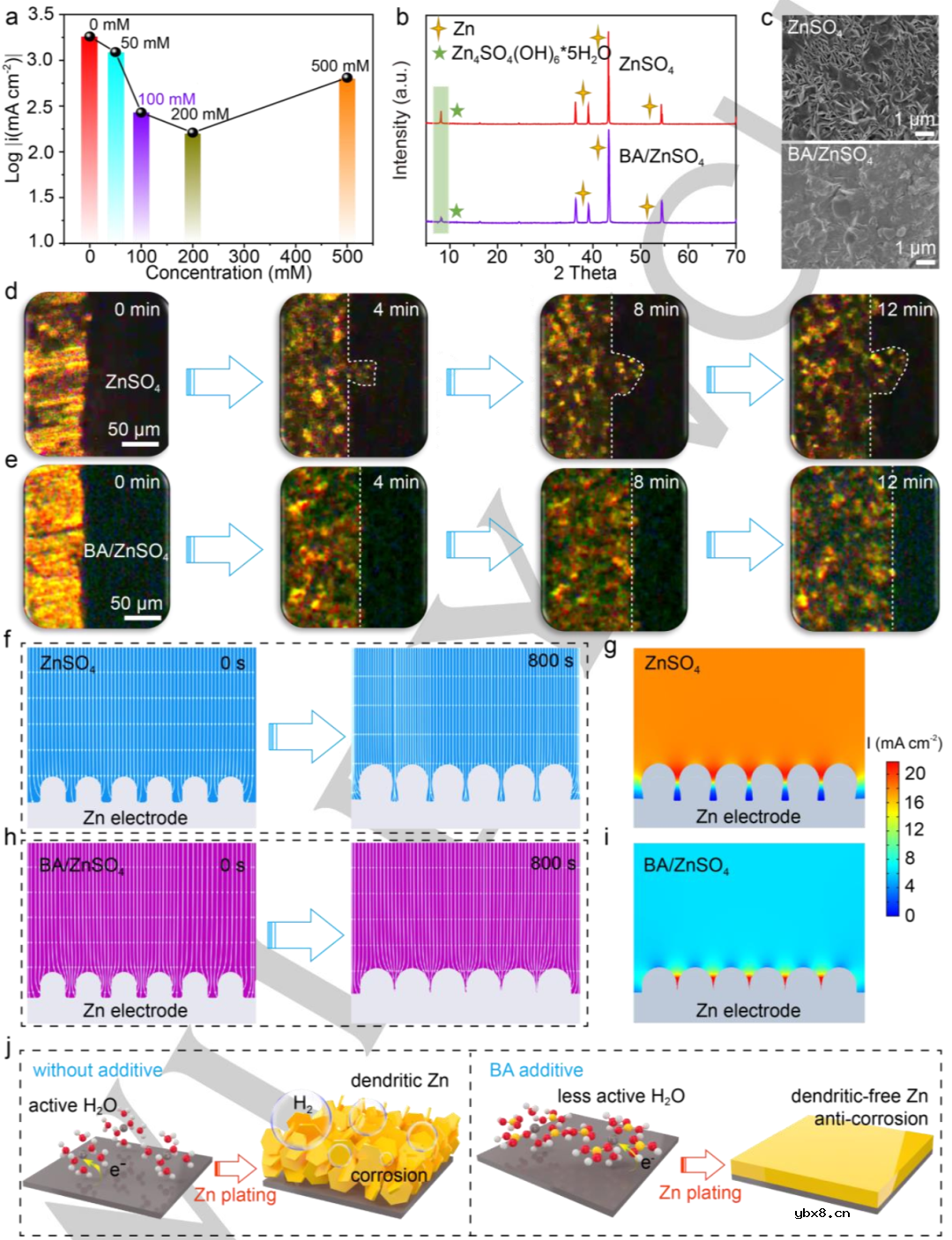 如何解决锌成核/溶解动力学与HER抑制能力之间的内在权衡