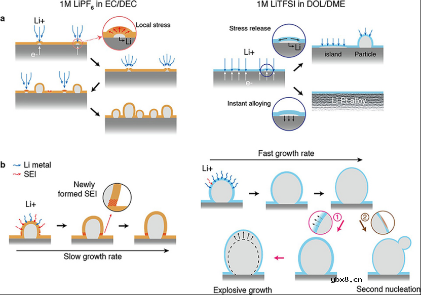 液相和低温透射电镜研究早期锂电镀机制 液相和低温透射电镜研究早期锂电镀机制