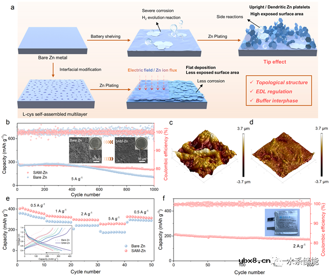 自组装多层缓冲界面实现长寿命水系锌离子电池