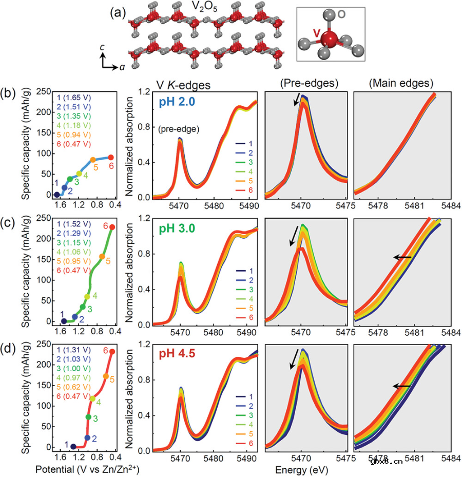 金属离子与质子:跟踪插入到水系电池阴极氧化物的电荷载流子
