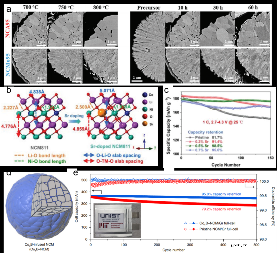 多晶高镍层状正极材料的微纳米结构设计策略