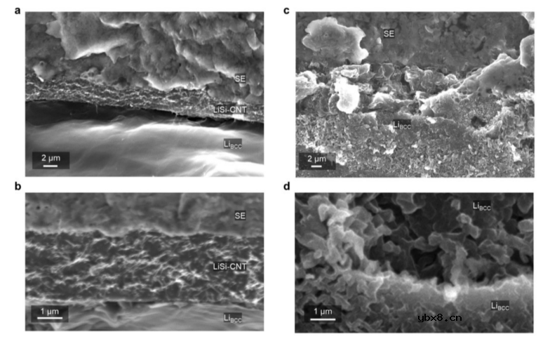 超薄硅化锂中间层助力高性能固态锂金属电池 超薄硅化锂中间层助力高性能固态锂金属电池