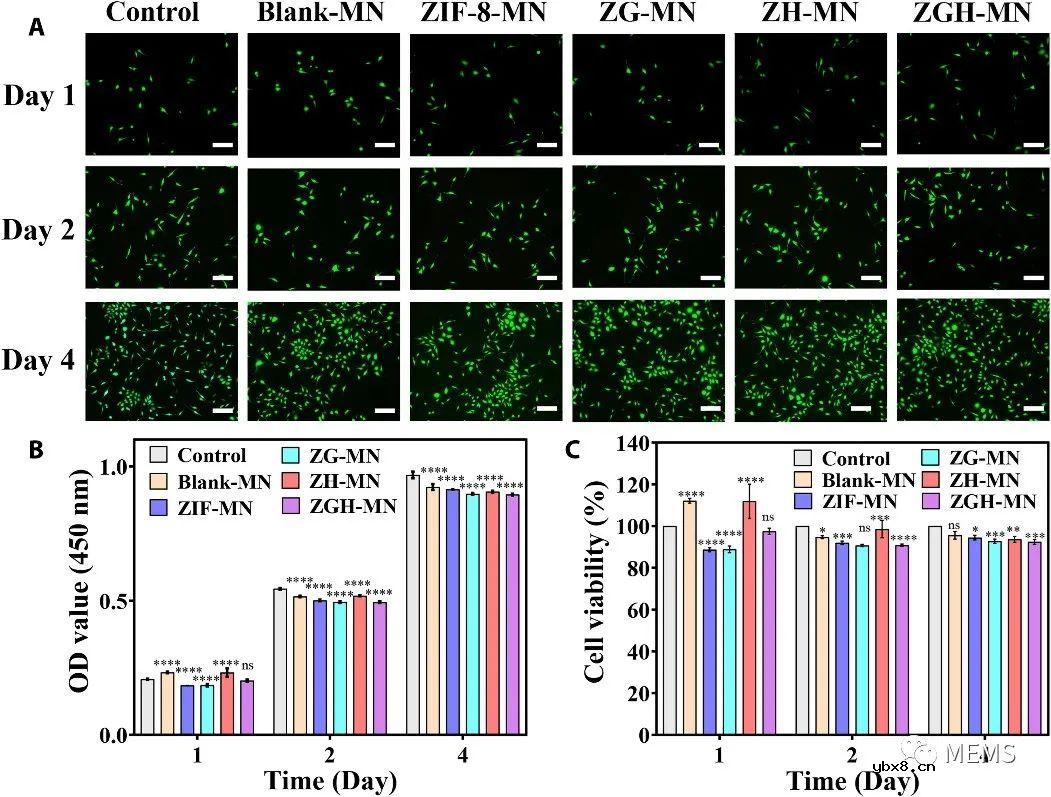 用于糖尿病创面的防疤痕愈合的自供电酶联微针贴片